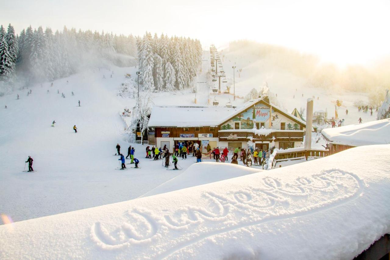 The Suite Winterberg Deluxe - Exklusive Ausstattung, Bestlage Zwischen Skikarussell Und Marktplatz, Eigener Garten, Ski- Und Fahrradraum, Ruhige Suedausrichtung, Wlan, Hundefreundlich Bagian luar foto