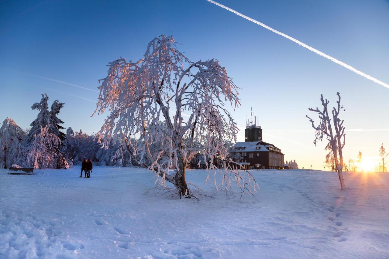 The Suite Winterberg Deluxe - Exklusive Ausstattung, Bestlage Zwischen Skikarussell Und Marktplatz, Eigener Garten, Ski- Und Fahrradraum, Ruhige Suedausrichtung, Wlan, Hundefreundlich Bagian luar foto