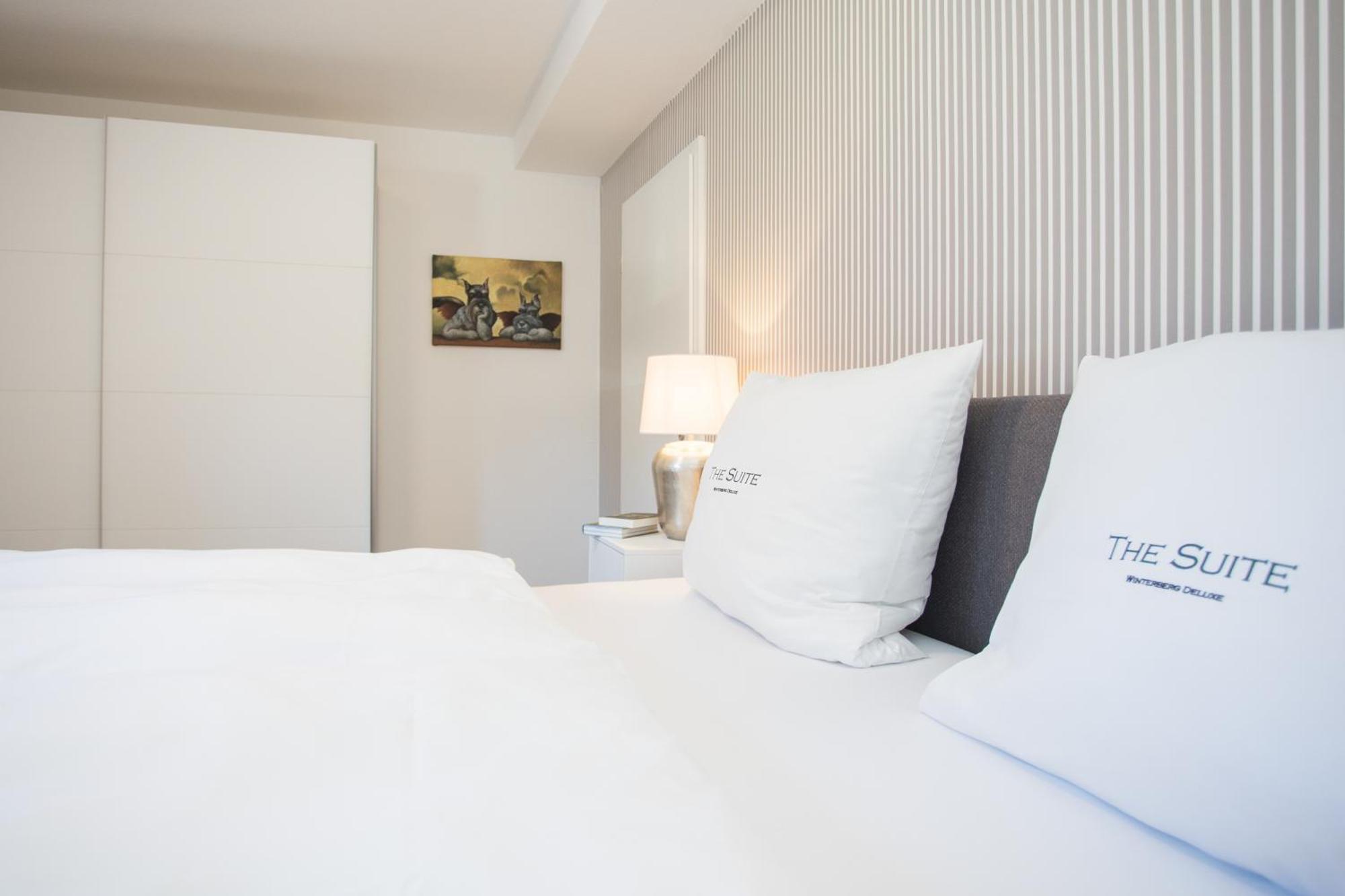The Suite Winterberg Deluxe - Exklusive Ausstattung, Bestlage Zwischen Skikarussell Und Marktplatz, Eigener Garten, Ski- Und Fahrradraum, Ruhige Suedausrichtung, Wlan, Hundefreundlich Bagian luar foto