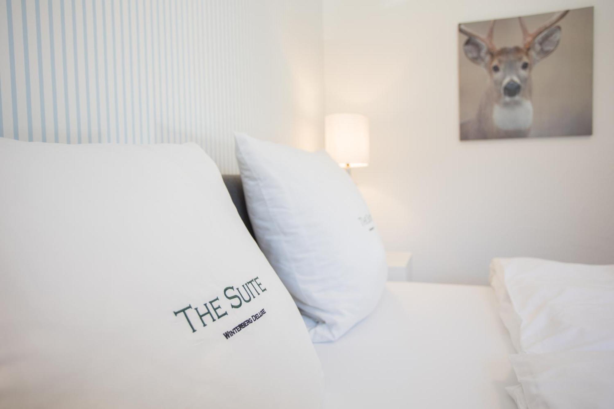 The Suite Winterberg Deluxe - Exklusive Ausstattung, Bestlage Zwischen Skikarussell Und Marktplatz, Eigener Garten, Ski- Und Fahrradraum, Ruhige Suedausrichtung, Wlan, Hundefreundlich Bagian luar foto